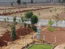 Buy land in Anjuna